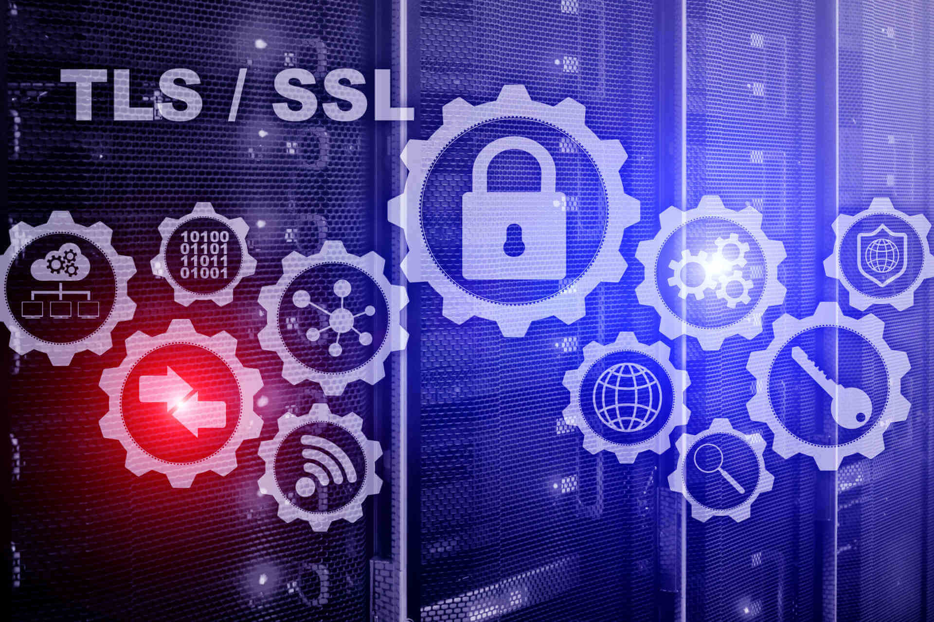 תעודות SSL/TLS -אבטחה ארגונית